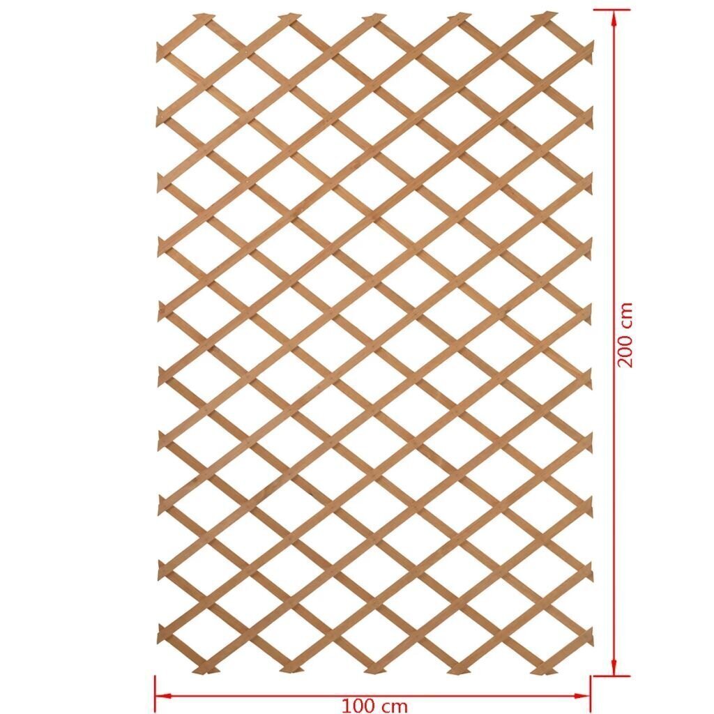 Nature dārza špalera, 100x200 cm, koks, dabīgs, 6041703 cena un informācija | Žogi un piederumi | 220.lv