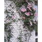 Nature dārza špalera, 100x200 cm, balts PVC, 6040703 цена и информация | Žogi un piederumi | 220.lv