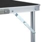 vidaXL saliekams kempinga galds, 240x60 cm, pelēks, alumīnijs cena un informācija |  Tūrisma mēbeles | 220.lv