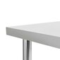 vidaXL virtuves darba galds, 120x60x85 cm, nerūsējošs tērauds cena un informācija | Virtuves furnitūra | 220.lv