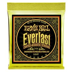 Stīgas ak. ģitārai Ernie Ball Everlast Light Bronze 0.011 - 0.052 cena un informācija | Mūzikas instrumentu piederumi | 220.lv