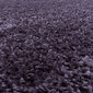 Ayyildiz paklājs Shaggy Sydney 60x110 cm cena un informācija | Paklāji | 220.lv