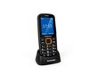 Blaupunkt BS 04, Black/Orange цена и информация | Mobilie telefoni | 220.lv