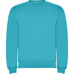 Džemperis ar garām piedurknēm, zils cena un informācija | Vīriešu džemperi | 220.lv