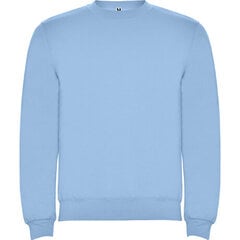 Džemperis ar garām piedurknēm, gaiši zils cena un informācija | Zēnu jakas, džemperi, žaketes, vestes | 220.lv