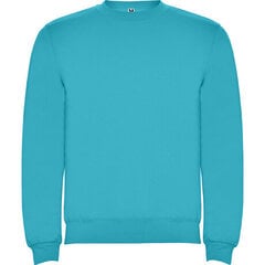 Džemperis ar garām piedurknēm, zils cena un informācija | Zēnu jakas, džemperi, žaketes, vestes | 220.lv
