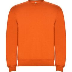 Džemperis ar garām piedurknēm, oranžs cena un informācija | Zēnu jakas, džemperi, žaketes, vestes | 220.lv