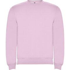 Džemperis ar garām piedurknēm, gaiši rozā cena un informācija | Zēnu jakas, džemperi, žaketes, vestes | 220.lv