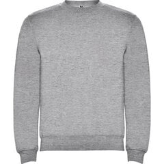 Džemperis ar garām piedurknēm, pelēks cena un informācija | Zēnu jakas, džemperi, žaketes, vestes | 220.lv
