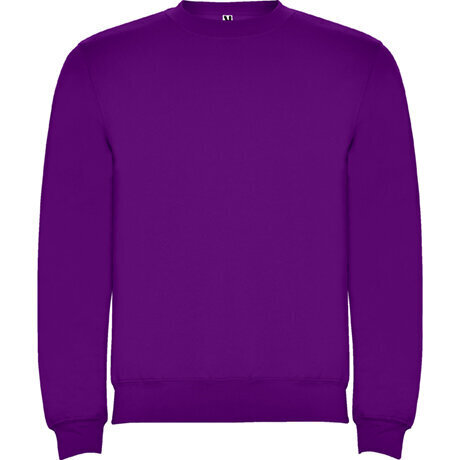 Džemperis ar garām piedurknēm, violets cena un informācija | Zēnu jakas, džemperi, žaketes, vestes | 220.lv