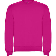 Džemperis ar garām piedurknēm, rozā cena un informācija | Zēnu jakas, džemperi, žaketes, vestes | 220.lv