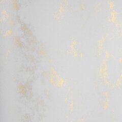 Картон фактурный Marmur, золотистый, 20 листов цена и информация | Тетради и бумажные товары | 220.lv