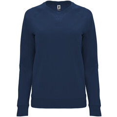 Рубашка в стиле реглан с длинными рукавами, синяя цена и информация | Женские кофты | 220.lv