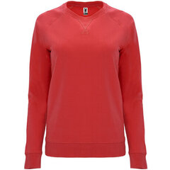 Reglāna stila krekls ar garām piedurknēm, sarkans cena un informācija | Sieviešu džemperi | 220.lv