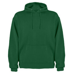 Sporta džemperis ar kapuci, zaļš cena un informācija | Vīriešu jakas | 220.lv