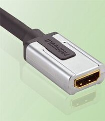 Адаптер Profigold PROD1300 Разъем HDMI - сопло DVI 0,27 м цена и информация | Кабели и провода | 220.lv