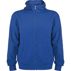 Sporta jaka ar kapuci un rāvējslēdzēju, zila cena un informācija | Vīriešu jakas | 220.lv