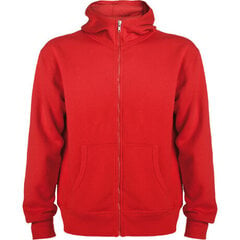 Sporta jaka ar kapuci un rāvējslēdzēju, sarkana cena un informācija | Zēnu jakas, džemperi, žaketes, vestes | 220.lv