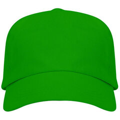 Cepure, sašūta no 3 daļām, zaļa cena un informācija | Cepures, cimdi, šalles zēniem | 220.lv