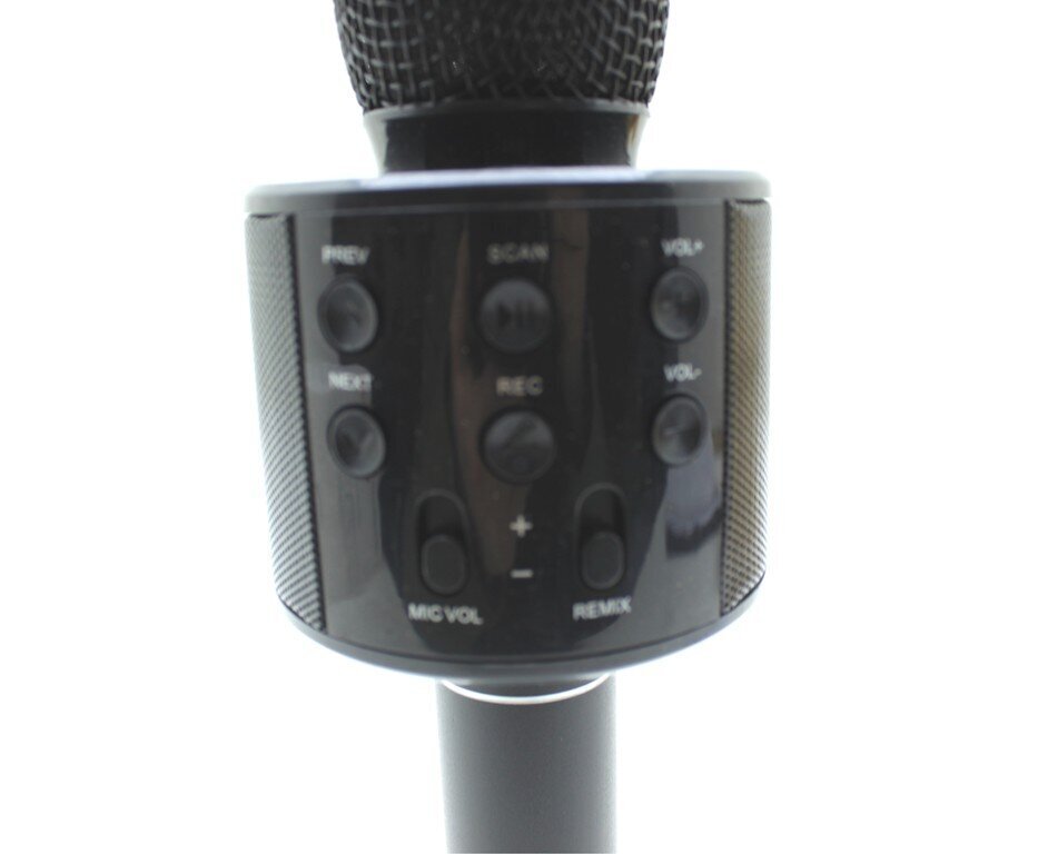 Mikrofona karaoke WS-858 цена и информация | Mikrofoni | 220.lv