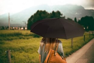 Mини зонтик, зеленый цена и информация | Женские зонты | 220.lv