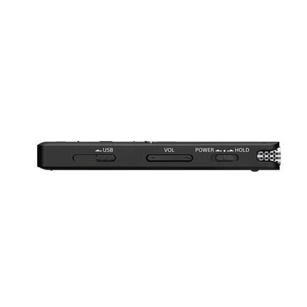 Sony Digital Voice Recorder ICD-UX570 LCD цена и информация | Diktofoni | 220.lv