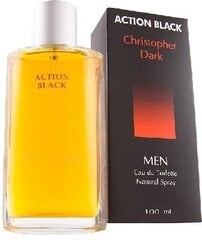 Туалетная вода Christopher Dark Action Black EDT для мужчин, 100 мл цена и информация | Мужские духи | 220.lv