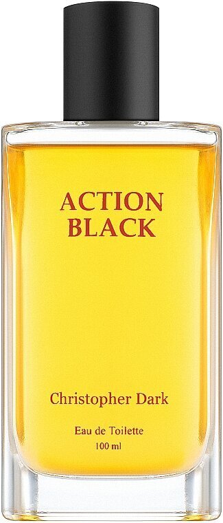 Tualetes ūdens Christopher Dark Action Black EDT vīriešiem, 100 ml cena un informācija | Vīriešu smaržas | 220.lv