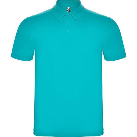 Polo krekls ar īsām piedurknēm, gaiši zils cena un informācija | Vīriešu T-krekli | 220.lv