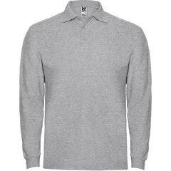 Polo džemperis ar garām piedurknēm, pelēks cena un informācija | Vīriešu džemperi | 220.lv