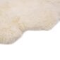 vidaXL aitādas paklājs, 60x90 cm, balts cena un informācija | Paklāji | 220.lv
