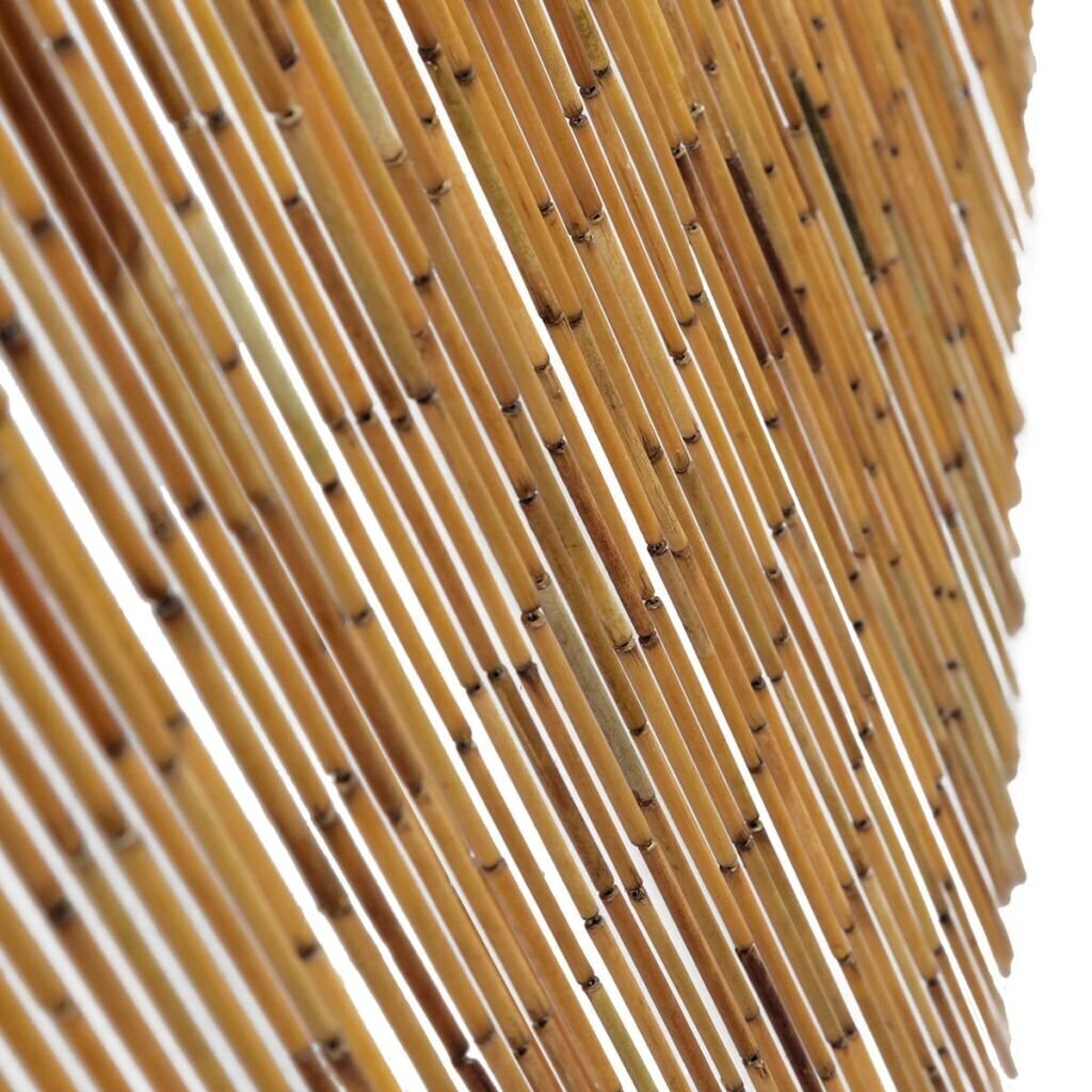 vidaXL kukaiņu aizkars durvīm, 100x200 cm, bambuss cena un informācija | Moskītu tīkli | 220.lv