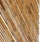 vidaXL kukaiņu aizkars durvīm, 56x185 cm, bambuss cena un informācija | Moskītu tīkli | 220.lv