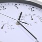 vidaXL sienas pulkstenis ar higrometru un termometru, kvarca mehānisms цена и информация | Pulksteņi | 220.lv