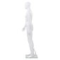 vidaXL vīriešu manekens, pilna auguma, stikla pamatne, 185 cm, balts цена и информация | Drēbju pakaramie | 220.lv