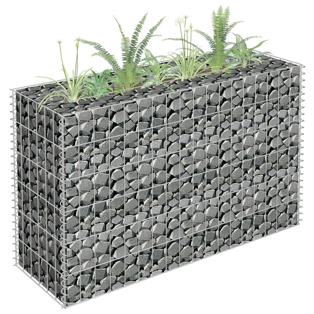 vidaXL gabions, augstā puķu kaste, cinkots tērauds, 90x30x60 cm цена и информация | Puķu podi | 220.lv