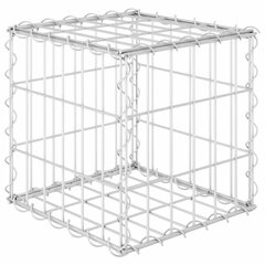 vidaXL gabions, augstā puķu kaste, tērauda stieple, 30x30x30 cm цена и информация | Ящики для рассады | 220.lv