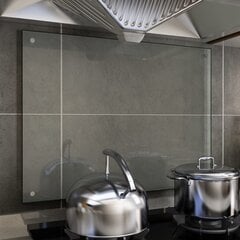 vidaXL virtuves panelis, 80x60 cm, rūdīts stikls, caurspīdīgs цена и информация | Комплектующие для кухонной мебели | 220.lv