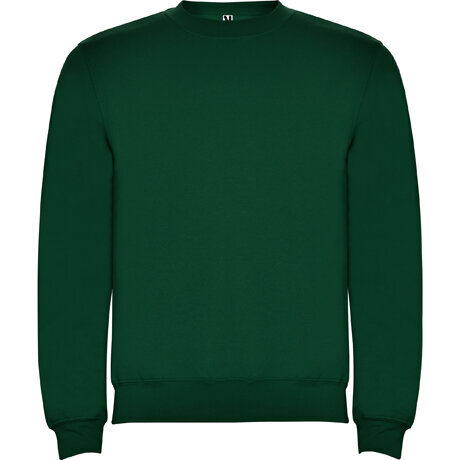 Džemperis ar garām piedurknēm, zaļš цена и информация | Vīriešu džemperi | 220.lv
