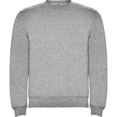 Džemperis ar garām piedurknēm, pelēks cena un informācija | Vīriešu džemperi | 220.lv