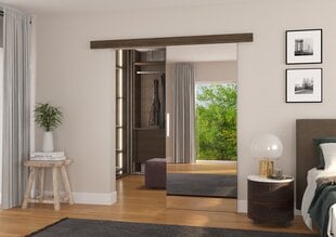 Двери для ниши с зеркалом ADRK Furniture Tess 96, коричневые цена и информация | Шкафы | 220.lv