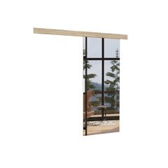 Двери для ниши с зеркалом ADRK Furniture Tess 96, дубовый цвет цена и информация | Шкафы | 220.lv