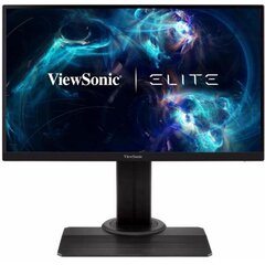 ViewSonic XG2405 cena un informācija | Monitori | 220.lv