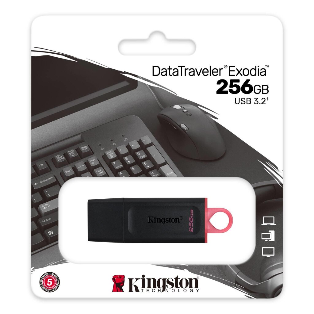 Kingston DTX/256GB cena un informācija | USB Atmiņas kartes | 220.lv