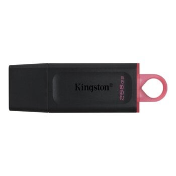 USB-накопитель Kingston USB Flash Drive DataTraveler Exodia 256 ГБ, USB 3.2 Gen 1, черный цена и информация | USB накопители | 220.lv