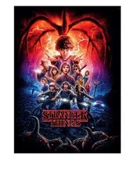 Пазл Clementoni Netflix Stranger Things 39543, 1000 д. цена и информация | Пазлы | 220.lv