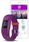 Garmin vívofit® jr. 2 Disney Frozen 2 Anna цена и информация | Fitnesa aproces | 220.lv