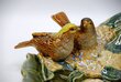 Dekoratīva salātu bļoda - "Putni", sarkana cena un informācija | Interjera priekšmeti | 220.lv