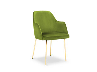 Krēsls Cosmopolitan Design Padova, zaļas/zeltainas krāsas cena un informācija | Virtuves un ēdamistabas krēsli | 220.lv