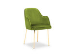 Krēsls Cosmopolitan Design Padova, zaļas/zeltainas krāsas